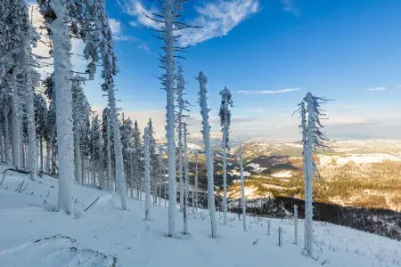 Jaký bude zbytek zimy 2024/2025? Očekávání sněhu a teplot v Evropě